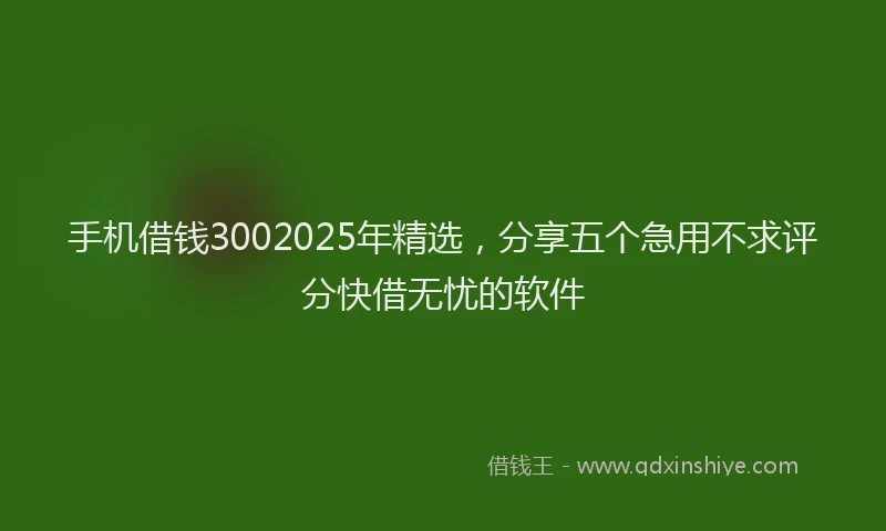 手机借钱3002025年精选，分享五个急用不求评分快借无忧的软件