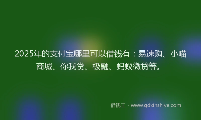 2025年的支付宝哪里可以借钱有：易速购、小喵商城、你我贷、极融、蚂蚁微贷等。