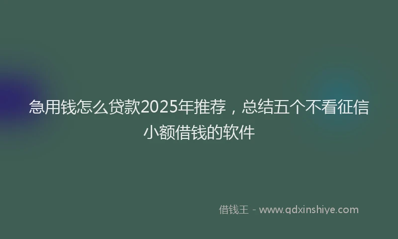急用钱怎么贷款2025年推荐，总结五个不看征信小额借钱的软件