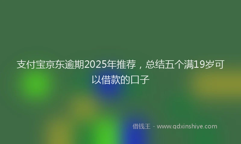 支付宝京东逾期2025年推荐，总结五个满19岁可以借款的口子