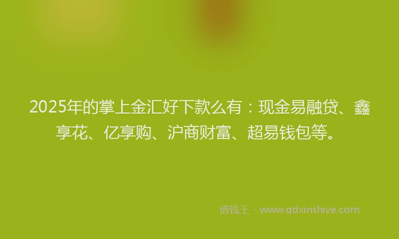 2025年的掌上金汇好下款么有：现金易融贷、鑫享花、亿享购、沪商财富、超易钱包等。