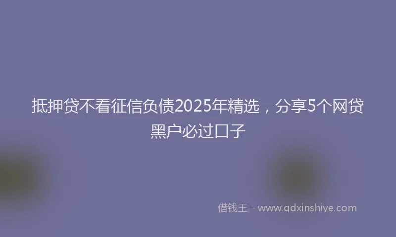 抵押贷不看征信负债2025年精选，分享5个网贷黑户必过口子
