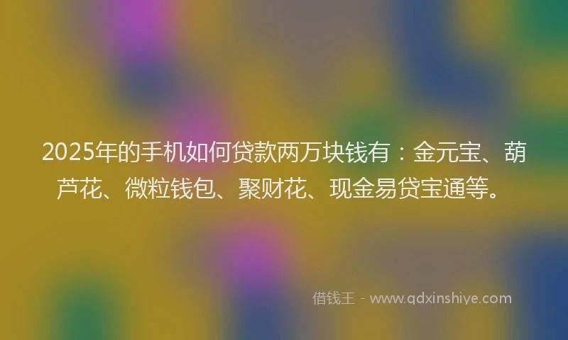 2025年的手机如何贷款两万块钱有：金元宝、葫芦花、微粒钱包、聚财花、现金易贷宝通等。