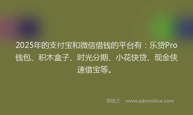 2025年的支付宝和微信借钱的平台有：乐贷Pro钱包、积木盒子、时光分期、小花快贷、现金侠速借宝等。