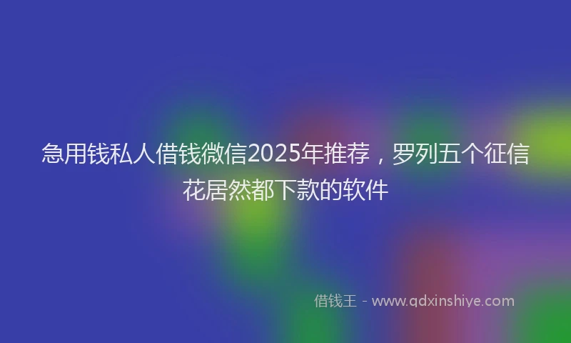 急用钱私人借钱微信2025年推荐，罗列五个征信花居然都下款的软件