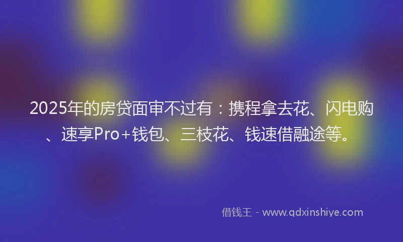 2025年的房贷面审不过有：携程拿去花、闪电购、速享Pro+钱包、三枝花、钱速借融途等。