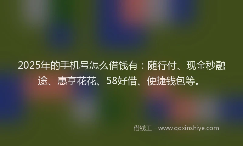 2025年的手机号怎么借钱有：随行付、现金秒融途、惠享花花、58好借、便捷钱包等。