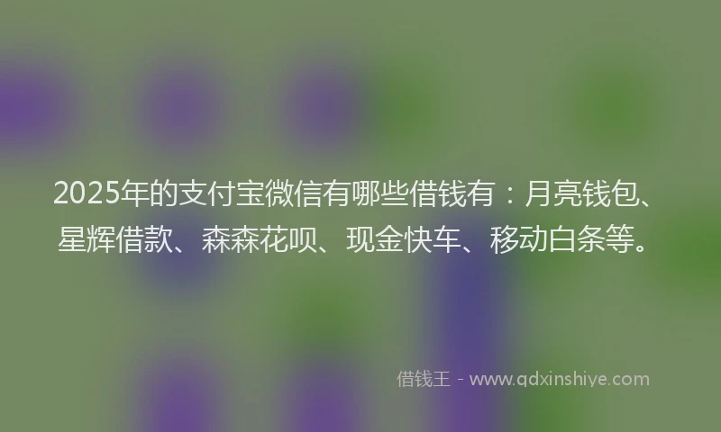2025年的支付宝微信有哪些借钱有：月亮钱包、星辉借款、森森花呗、现金快车、移动白条等。