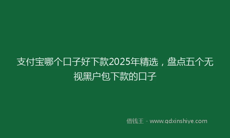 支付宝哪个口子好下款2025年精选，盘点五个无视黑户包下款的口子