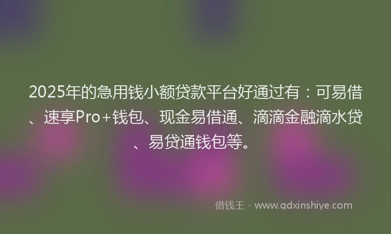 2025年的急用钱小额贷款平台好通过有：可易借、速享Pro+钱包、现金易借通、滴滴金融滴水贷、易贷通钱包等。