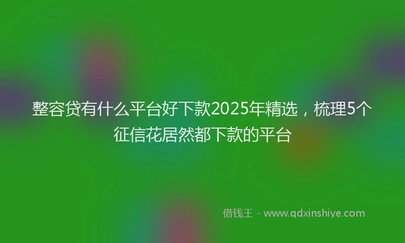 整容贷有什么平台好下款2025年精选，梳理5个征信花居然都下款的平台