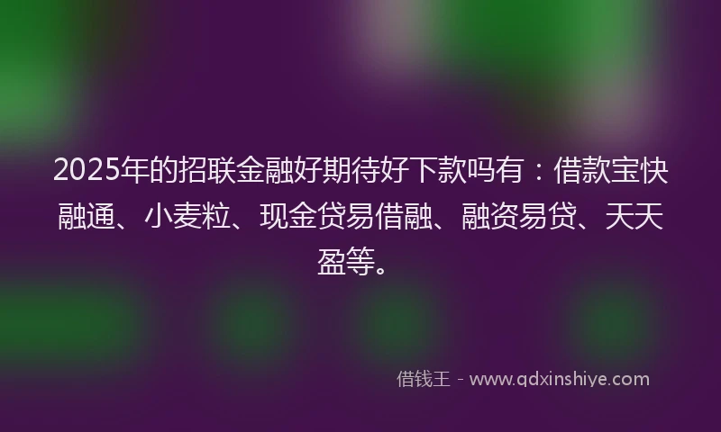 2025年的招联金融好期待好下款吗有：借款宝快融通、小麦粒、现金贷易借融、融资易贷、天天盈等。