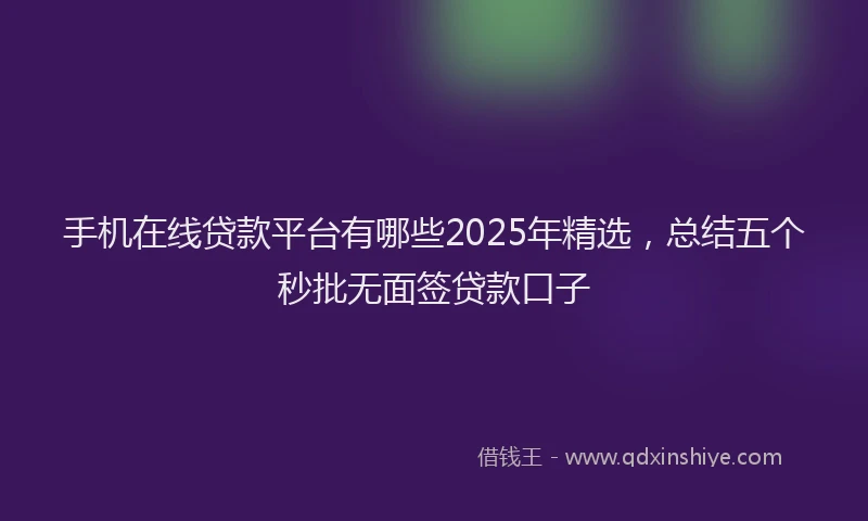 手机在线贷款平台有哪些2025年精选，总结五个秒批无面签贷款口子