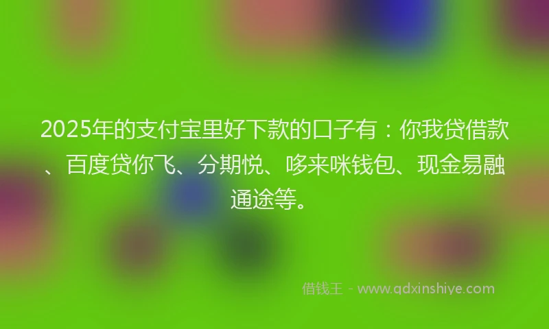 2025年的支付宝里好下款的口子有：你我贷借款、百度贷你飞、分期悦、哆来咪钱包、现金易融通途等。