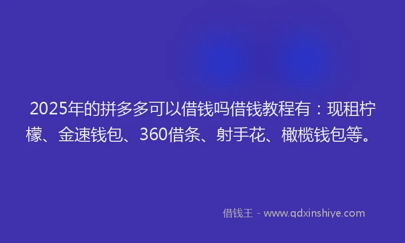 2025年的拼多多可以借钱吗借钱教程有：现租柠檬、金速钱包、360借条、射手花、橄榄钱包等。