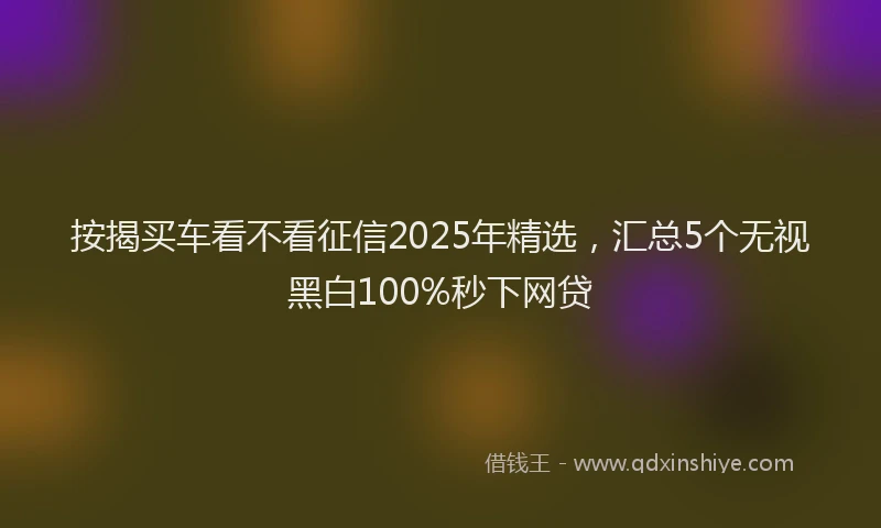按揭买车看不看征信2025年精选，汇总5个无视黑白100%秒下网贷