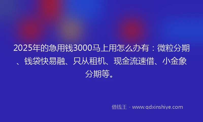 2025年的急用钱3000马上用怎么办有：微粒分期、钱袋快易融、只从租机、现金流速借、小金象分期等。