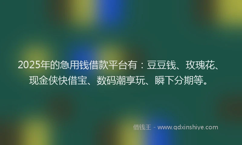 2025年的急用钱借款平台有：豆豆钱、玫瑰花、现金侠快借宝、数码潮享玩、瞬下分期等。