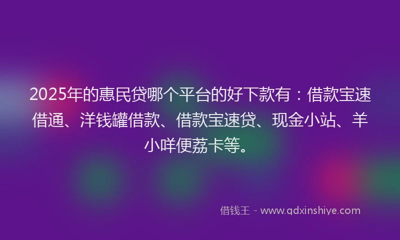 2025年的惠民贷哪个平台的好下款有：借款宝速借通、洋钱罐借款、借款宝速贷、现金小站、羊小咩便荔卡等。