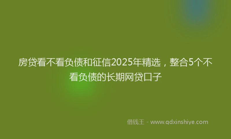 房贷看不看负债和征信2025年精选，整合5个不看负债的长期网贷口子
