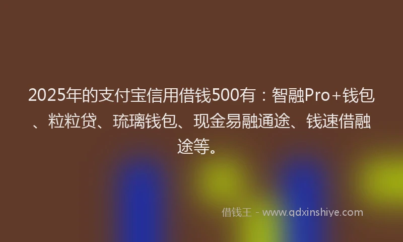2025年的支付宝信用借钱500有：智融Pro+钱包、粒粒贷、琉璃钱包、现金易融通途、钱速借融途等。