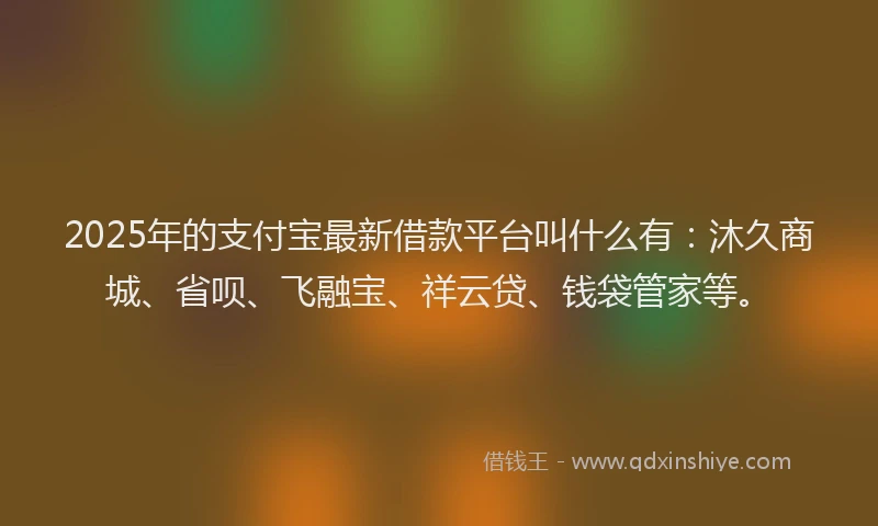 2025年的支付宝最新借款平台叫什么有：沐久商城、省呗、飞融宝、祥云贷、钱袋管家等。