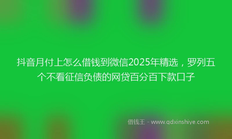 抖音月付上怎么借钱到微信2025年精选，罗列五个不看征信负债的网贷百分百下款口子
