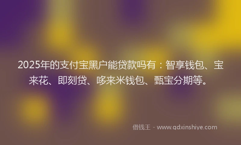2025年的支付宝黑户能贷款吗有：智享钱包、宝来花、即刻贷、哆来米钱包、甄宝分期等。