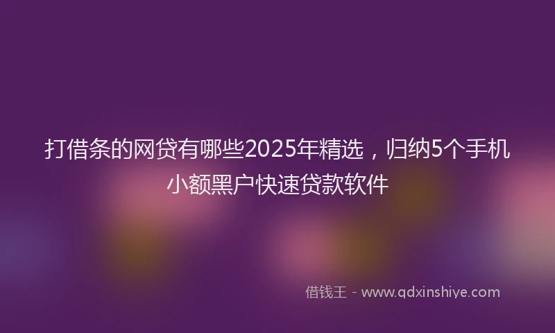 打借条的网贷有哪些2025年精选，归纳5个手机小额黑户快速贷款软件