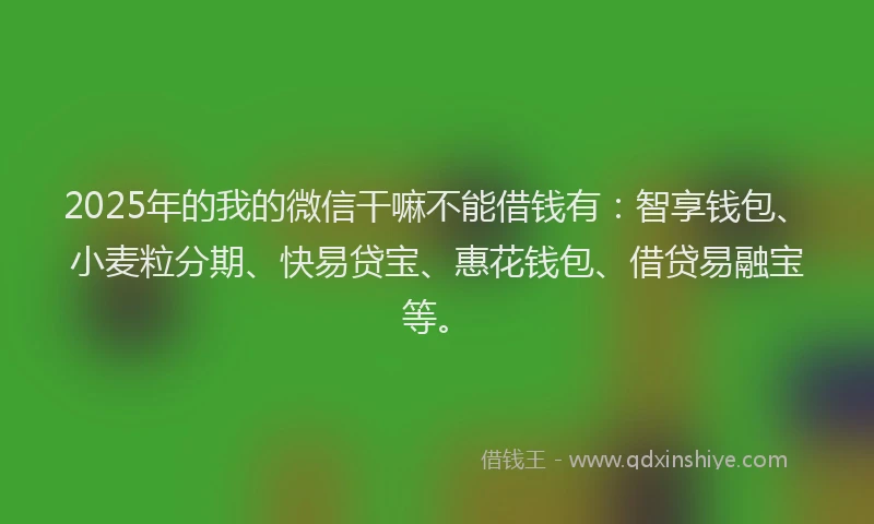 2025年的我的微信干嘛不能借钱有：智享钱包、小麦粒分期、快易贷宝、惠花钱包、借贷易融宝等。