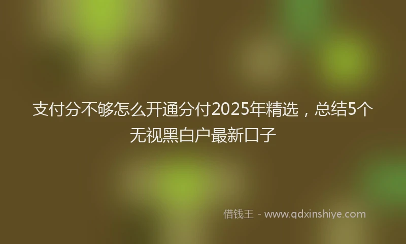 支付分不够怎么开通分付2025年精选，总结5个无视黑白户最新口子