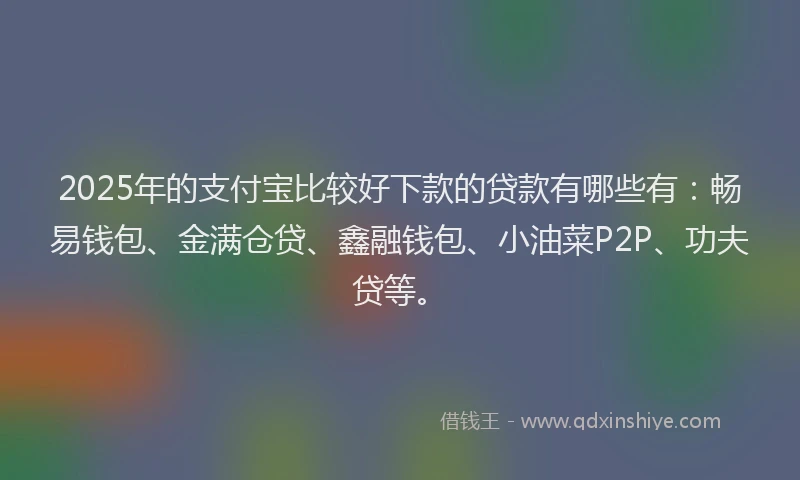 2025年的支付宝比较好下款的贷款有哪些有：畅易钱包、金满仓贷、鑫融钱包、小油菜P2P、功夫贷等。