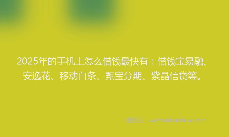 2025年的手机上怎么借钱最快有：借钱宝易融、安逸花、移动白条、甄宝分期、紫晶信贷等。
