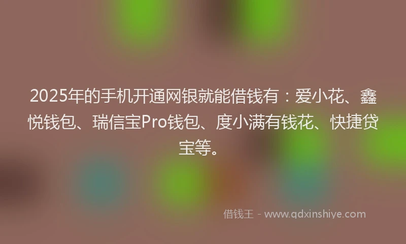 2025年的手机开通网银就能借钱有：爱小花、鑫悦钱包、瑞信宝Pro钱包、度小满有钱花、快捷贷宝等。