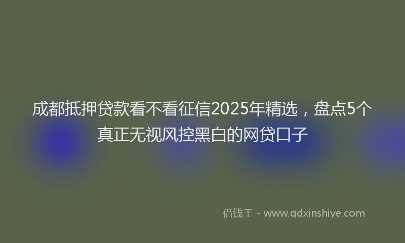 成都抵押贷款看不看征信2025年精选，盘点5个真正无视风控黑白的网贷口子