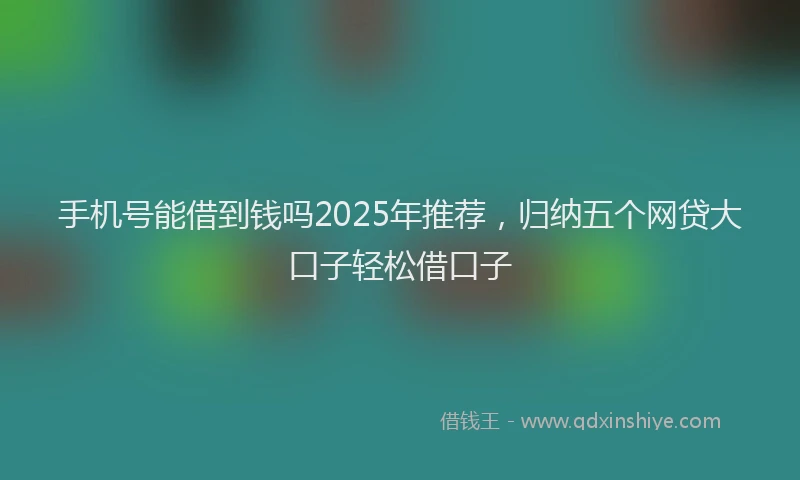手机号能借到钱吗2025年推荐，归纳五个网贷大口子轻松借口子