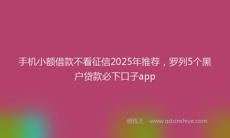 手机小额借款不看征信2025年推荐，罗列5个黑户贷款必下口子app