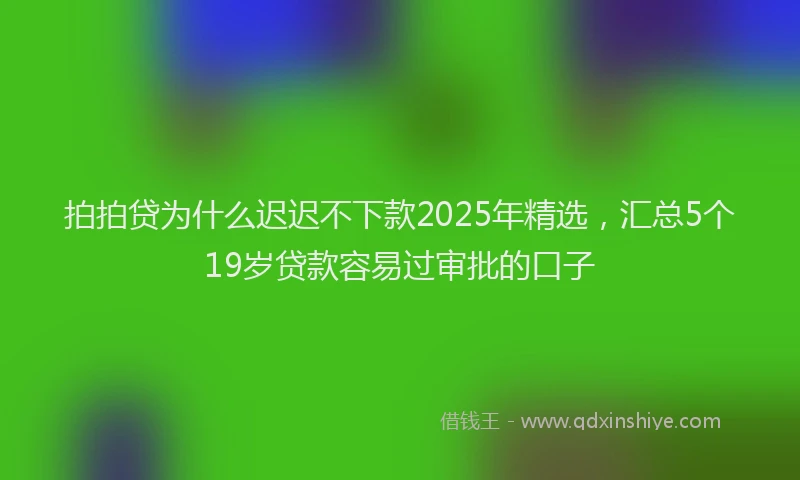拍拍贷为什么迟迟不下款2025年精选，汇总5个19岁贷款容易过审批的口子