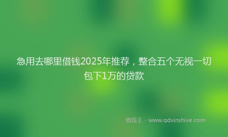 急用去哪里借钱2025年推荐，整合五个无视一切包下1万的贷款