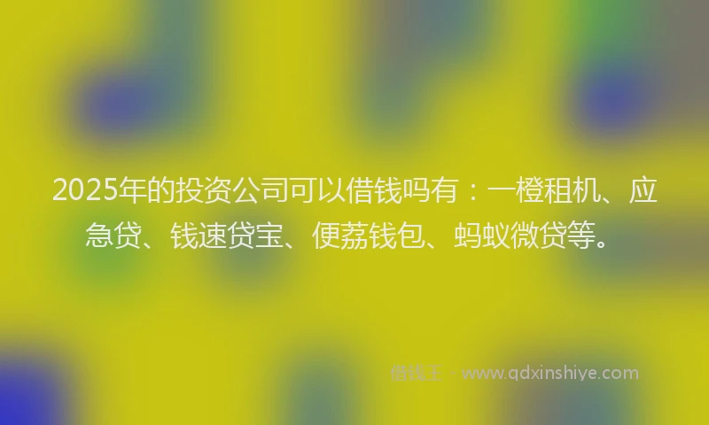 2025年的投资公司可以借钱吗有：一橙租机、应急贷、钱速贷宝、便荔钱包、蚂蚁微贷等。