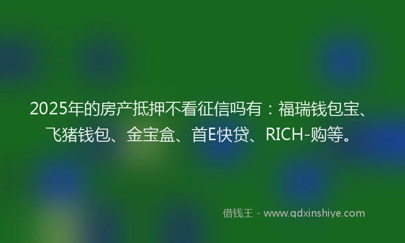 2025年的房产抵押不看征信吗有：福瑞钱包宝、飞猪钱包、金宝盒、首E快贷、RICH-购等。