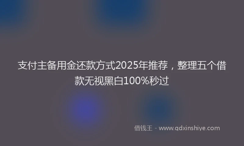 支付主备用金还款方式2025年推荐，整理五个借款无视黑白100%秒过