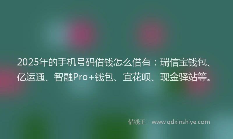 2025年的手机号码借钱怎么借有：瑞信宝钱包、亿运通、智融Pro+钱包、宜花呗、现金驿站等。