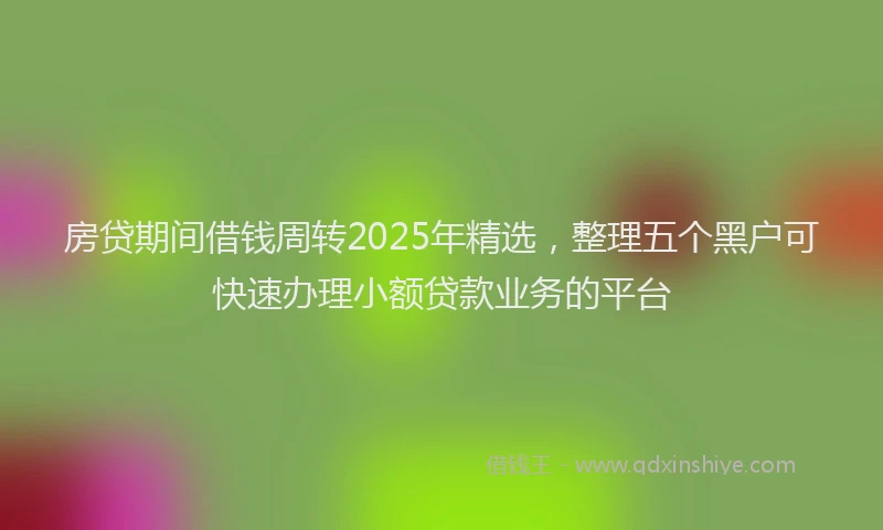 房贷期间借钱周转2025年精选，整理五个黑户可快速办理小额贷款业务的平台