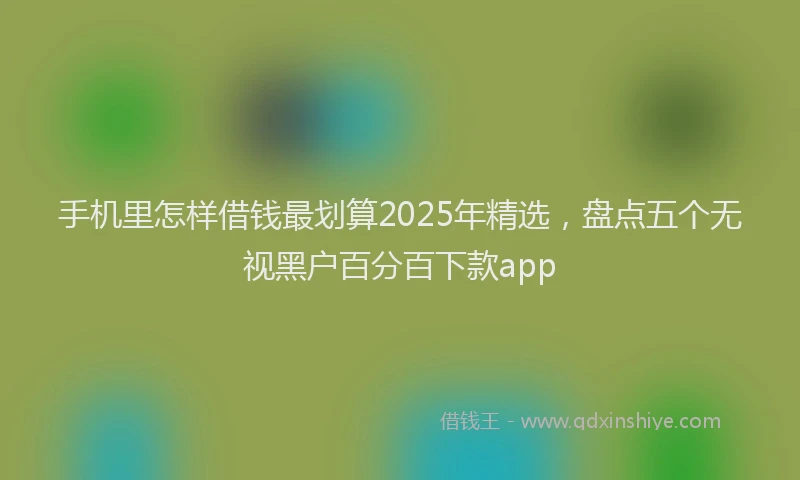 手机里怎样借钱最划算2025年精选，盘点五个无视黑户百分百下款app