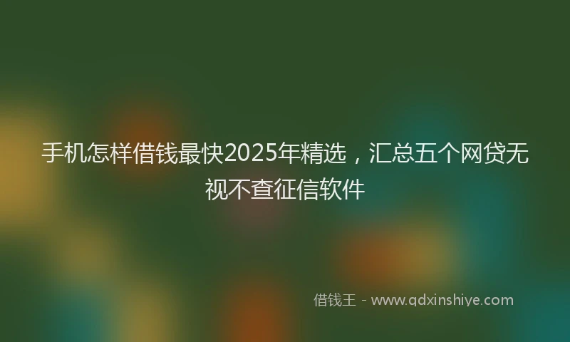 手机怎样借钱最快2025年精选，汇总五个网贷无视不查征信软件