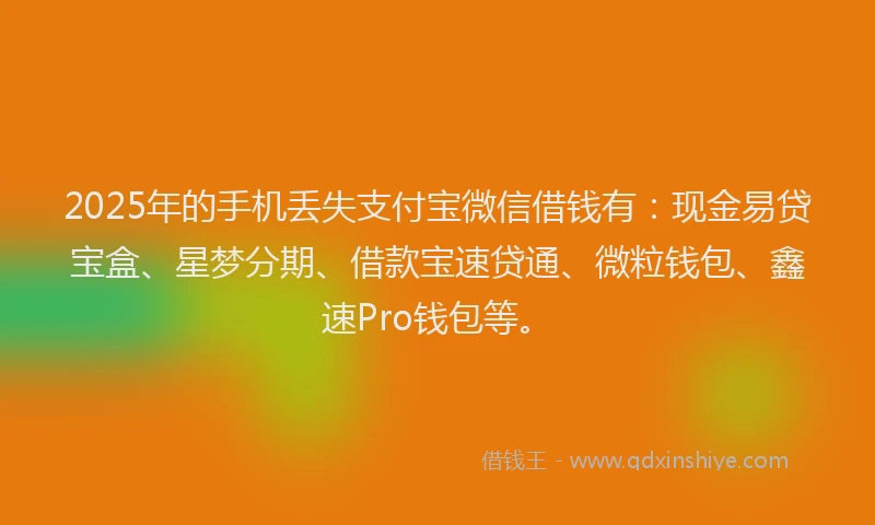 2025年的手机丢失支付宝微信借钱有：现金易贷宝盒、星梦分期、借款宝速贷通、微粒钱包、鑫速Pro钱包等。