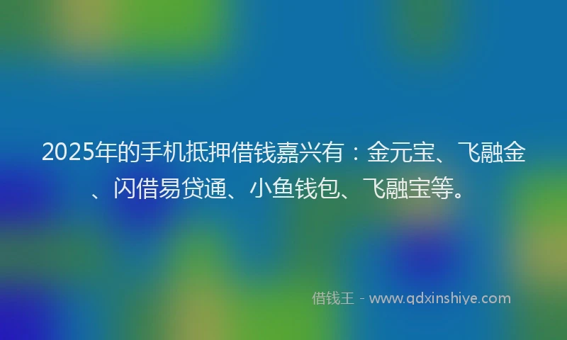 2025年的手机抵押借钱嘉兴有：金元宝、飞融金、闪借易贷通、小鱼钱包、飞融宝等。