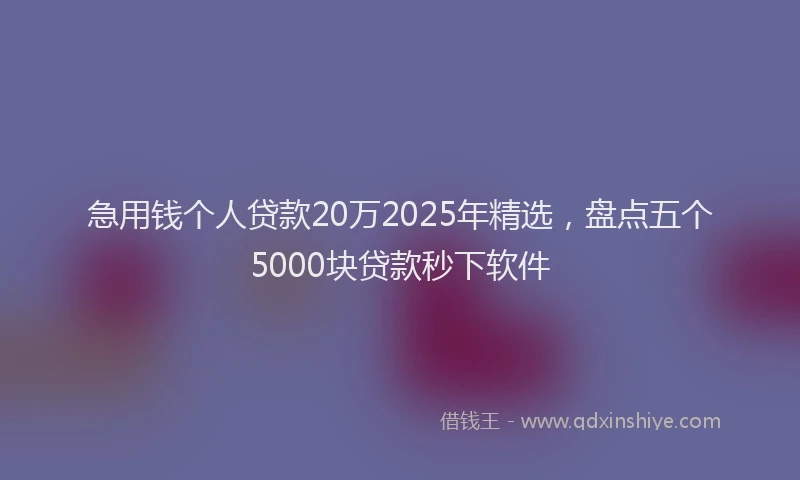 急用钱个人贷款20万2025年精选，盘点五个5000块贷款秒下软件