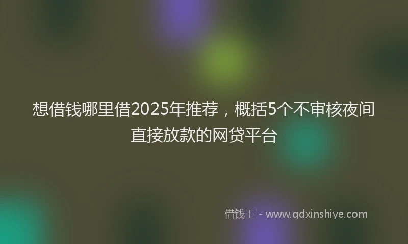 想借钱哪里借2025年推荐，概括5个不审核夜间直接放款的网贷平台